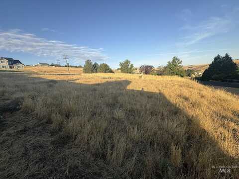 2705 9th Ave (Lot 50 Dove Replat), Clarkston, WA 99403