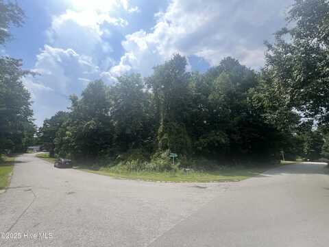919 Mandarin Trail, Jacksonville, NC 28540