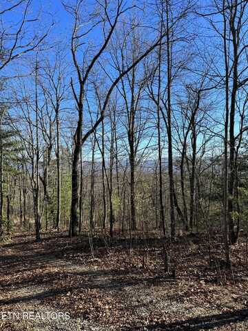 6838 Flats Rd, Tallassee, TN 37878