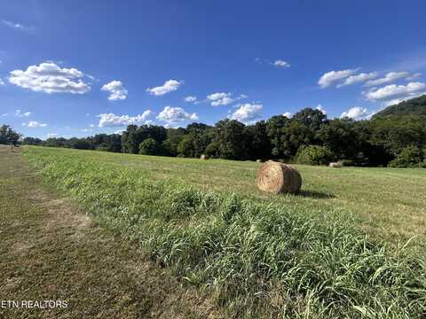 Lot 8c River Ranch, Blaine, TN 37709