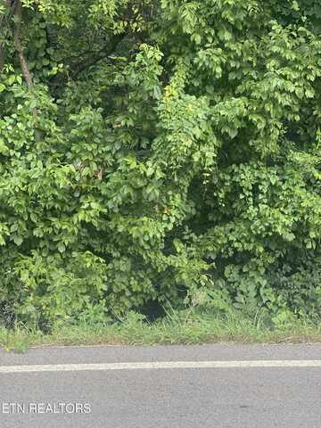 15 Sands Rd, Sweetwater, TN 37874