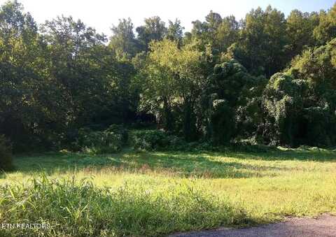 3315 W Wolf Valley Rd, Clinton, TN 37716