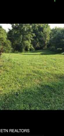 516 Henderson St, Harriman, TN 37748