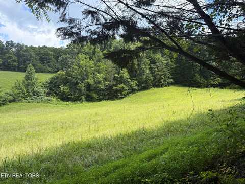 1461 Ponderosa Rd, Parrottsville, TN 37843