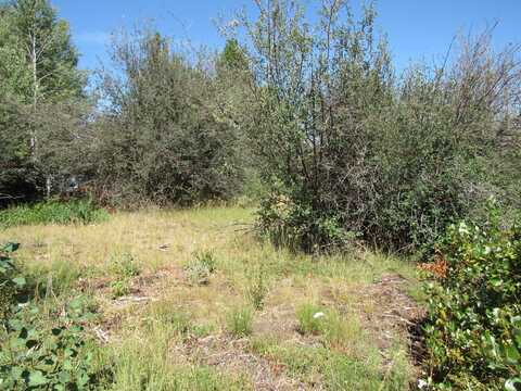 0 Forest View Drive, Chiloquin, OR 97624