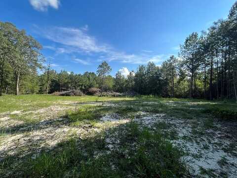 NA Eucutta Sandersville Road, Rural Wayne County, MS 39360
