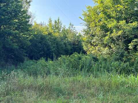 7.58 Ac Newbill School Road, Halifax, VA 24558