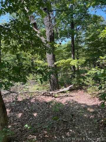 Minx Valley Drive, Roach, MO 65787