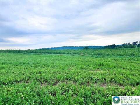 66 Long Road, Greenwich Twp, PA 19534