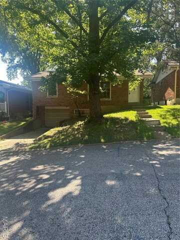 4116 Ammann Lane, Saint Louis, MO 63121