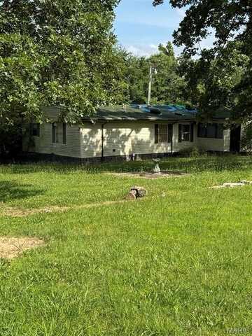 434 Wayne 522, Wappapello, MO 63966
