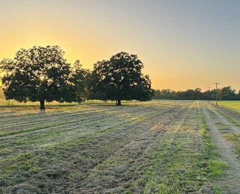 0 Old Van Vleck Rd Tract 2, Van Vleck, TX 77482