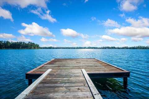 22515 NE 108TH AVENUE ROAD, FORT MC COY, FL 32134
