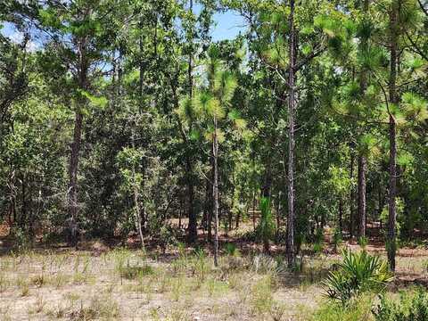 21 WHITEWOOD STREET, HOMOSASSA, FL 34446