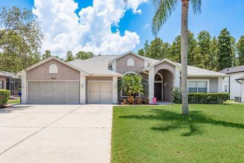 8214 SILVER MIST PLACE, TRINITY, FL 34655