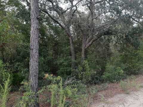 Tbd NE 87TH PLACE, BRONSON, FL 32621