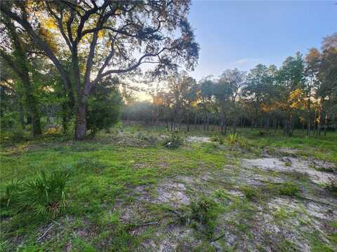 Tbd NE 82ND PLACE, BRONSON, FL 32621