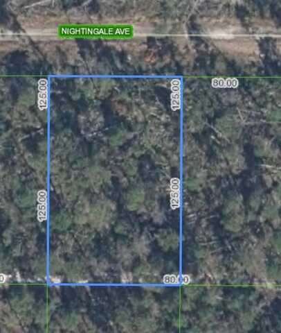 455 NIGHTINGALE AVENUE, SEBRING, FL 33870