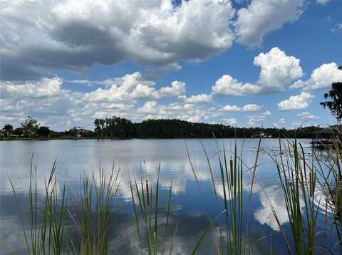17117 BREEDERS CUP DRIVE, ODESSA, FL 33556