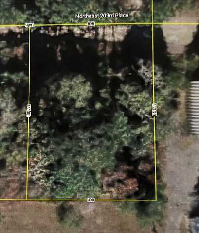 00 NE 203RD PLACE, FORT MC COY, FL 32134