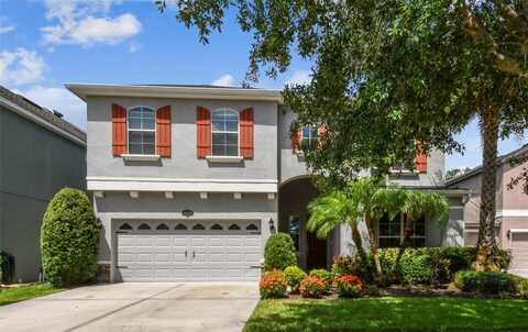 19303 WATER MAPLE DRIVE, TAMPA, FL 33647