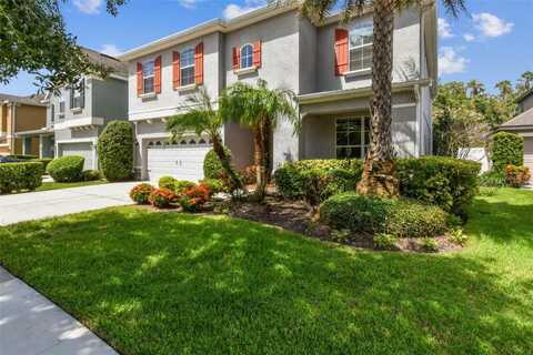 19303 WATER MAPLE DRIVE, TAMPA, FL 33647
