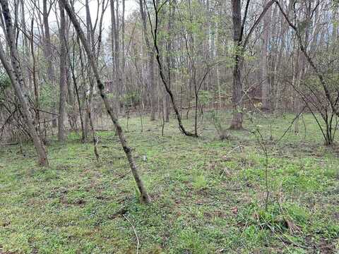 Lot 4 Foggy Bottom Trail, MURPHY, NC 28906