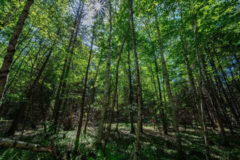 Newport Lot 8 Murray Road, Newport, ME 04953