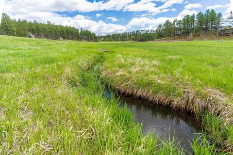 24901 Big Valley Trail, Custer, SD 57730