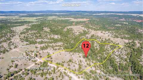 TBD Winchester Road, Custer, SD 57730