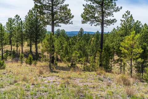26771 Elk Run Road, Custer, SD 57747