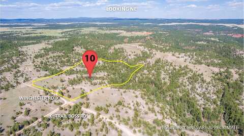26666 Winchester Road, Custer, SD 57730