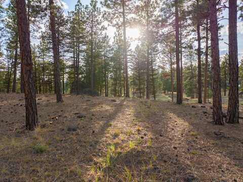 Leaning Tree Lane, Clancy, MT 59634