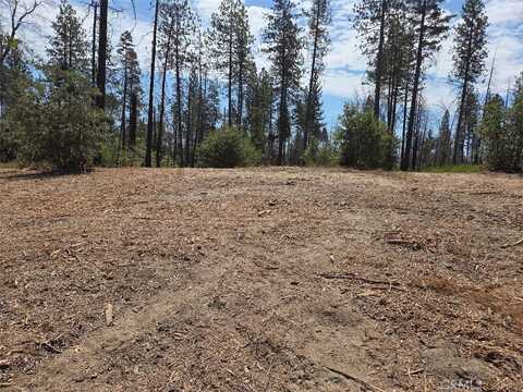 1090 Bald Rock Road, Berry Creek, CA 95916