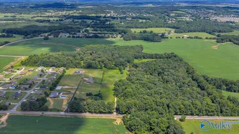 19000 Meadows Road, Athens, AL 35613
