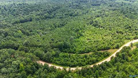 39 Acres County Road 87, Vina, AL 35593