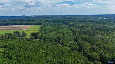 78 Acres County Highway 56, Vina, AL 35593