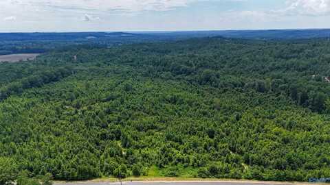 139 Acres County Road 87, Vina, AL 35593