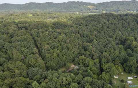 160 Mill Hill Road, Attalla, AL 35954