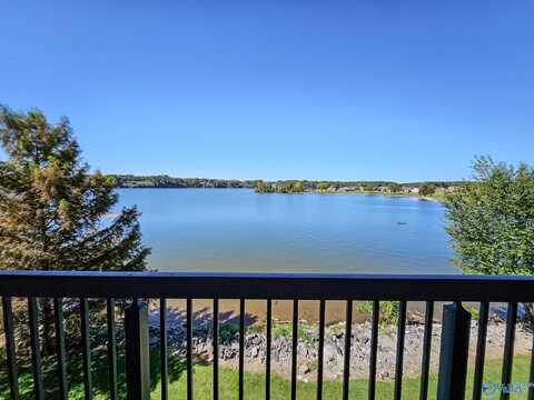12100 Two Rivers Drive, Athens, AL 35611