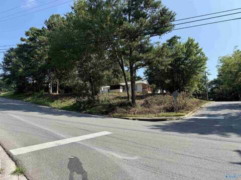 Lot 34 Rayburn Avenue, Guntersville, AL 35976