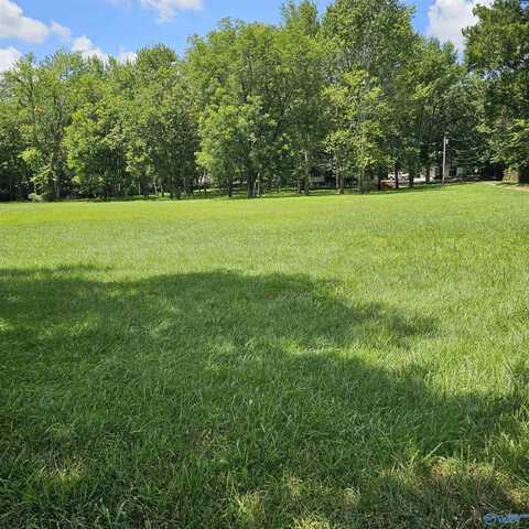 110 Oakwood Meadows Drive, Madison, AL 35757