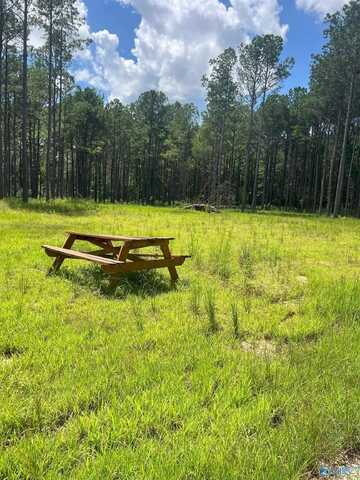 186 Brooks Lane, Somerville, AL 35670
