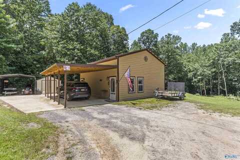123 County Road 3917, Arley, AL 35541