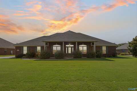 13399 Summerfield Drive, Athens, AL 35613