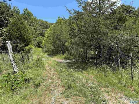 494 County Road 221, Scottsboro, AL 35768
