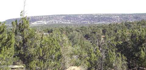 802 E Wampum Lane, Williams, AZ 86046