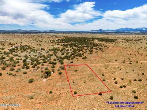 2880 S Alden, Williams, AZ 86046
