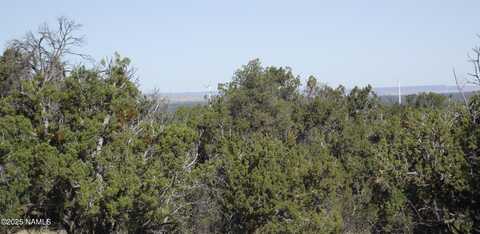 731 E Wampum Lane, Williams, AZ 86046