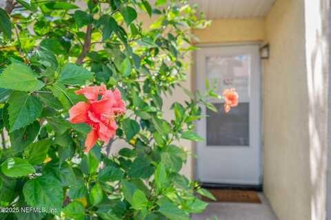 3960 A1A S unit: 520, St. Augustine Beach, FL 32080
